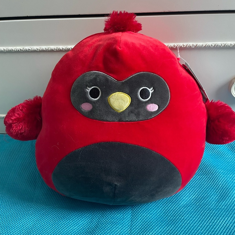 cardinal squishmallow- Cazlan